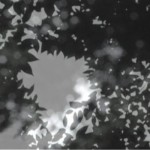 http://data.lightizm.com/files/gimgs/th-76_71_Nostalgia2_v2.jpg